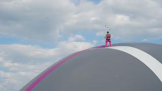 Les fauves d'Eric Longequel et Johan Swartvagher