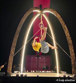 Les fauves d'Eric Longequel et Johan Swartvagher