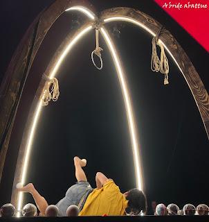 Les fauves d'Eric Longequel et Johan Swartvagher Les fauves d'Eric Longequel et Johan Swartvagher