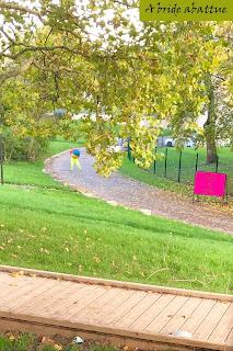 Les fauves d'Eric Longequel et Johan Swartvagher Les fauves d'Eric Longequel et Johan Swartvagher