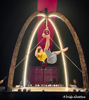 Les fauves d'Eric Longequel et Johan Swartvagher