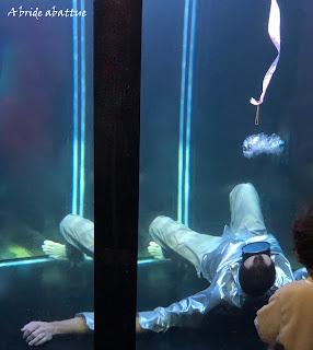 Les fauves d'Eric Longequel et Johan Swartvagher