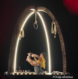 Les fauves d'Eric Longequel et Johan Swartvagher