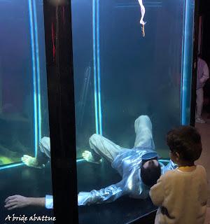 Les fauves d'Eric Longequel et Johan Swartvagher Les fauves d'Eric Longequel et Johan Swartvagher