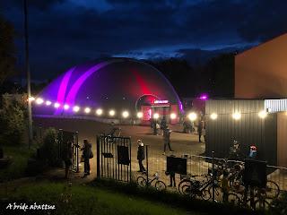 Les fauves d'Eric Longequel et Johan Swartvagher