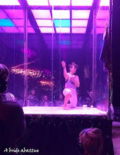 Les fauves d'Eric Longequel et Johan Swartvagher Les fauves d'Eric Longequel et Johan Swartvagher