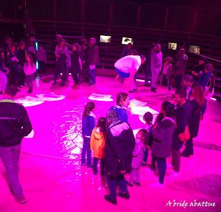 Les fauves d'Eric Longequel et Johan Swartvagher