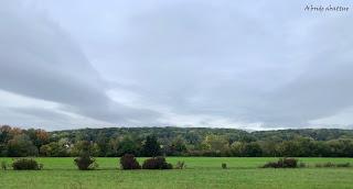 Une journée dans un musée de l'Oise Episode 1 : Musée d’Art et d’Histoire Louis-Senlecq, L’Isle-Adam