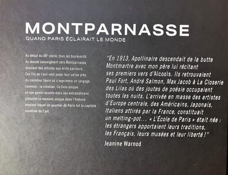 Montparnasse (Quand Paris éclairait le monde) de Mathieu Le Bal -une préface de Jeanine Warnod.