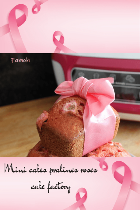 Mini cakes pralines roses cake factory