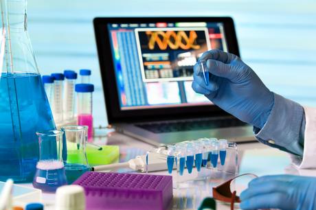 La masse musculaire fait toute la différence dans cette « redéfinition » de l’obésité (Visuel Adobe Stock 113562820) La masse musculaire fait toute la différence dans cette « redéfinition » de l’obésité (Visuel Adobe Stock 113562820)