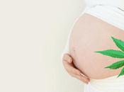 CANNABIS l’exposition utero