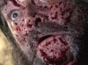 Cabinet Curiosités Guillermo Toro (Saison épisodes &amp; Graveyard Rats