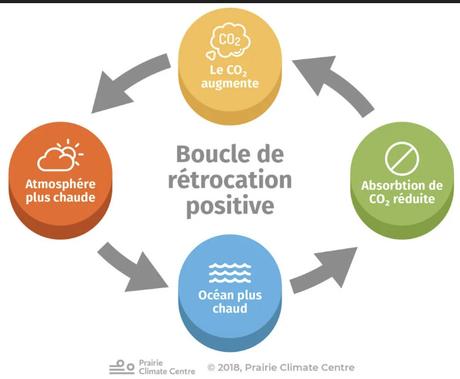 Exemple  du réchauffement des océans