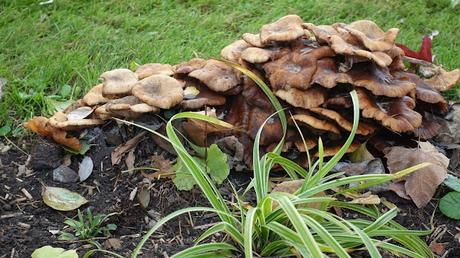 l'imprévisibilité des êtres l'imprévisibilité des êtres