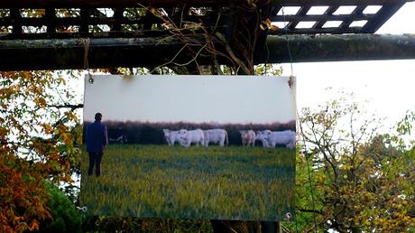 l'imprévisibilité des êtres l'imprévisibilité des êtres