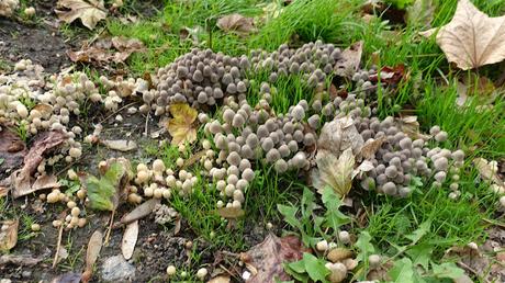 l'imprévisibilité des êtres l'imprévisibilité des êtres