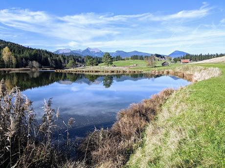 Buckelwiesen Mittenwald 30.10.2022 — 25 Bilder / Prairies bosselées à Mittenwald — 25 photos