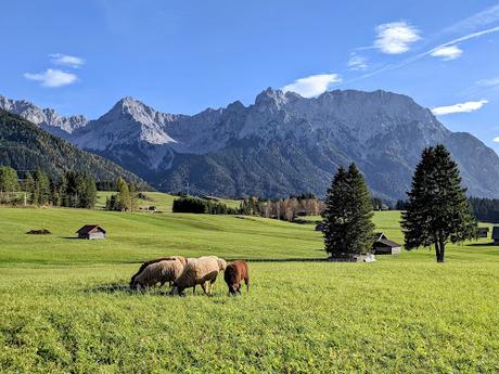 Buckelwiesen Mittenwald 30.10.2022 — 25 Bilder / Prairies bosselées à Mittenwald — 25 photos