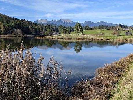 Buckelwiesen Mittenwald 30.10.2022 — 25 Bilder / Prairies bosselées à Mittenwald — 25 photos