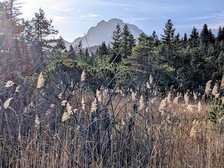 Buckelwiesen Mittenwald 30.10.2022 — 25 Bilder / Prairies bosselées à Mittenwald — 25 photos