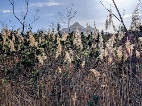 Buckelwiesen Mittenwald 30.10.2022 — 25 Bilder / Prairies bosselées à Mittenwald — 25 photos