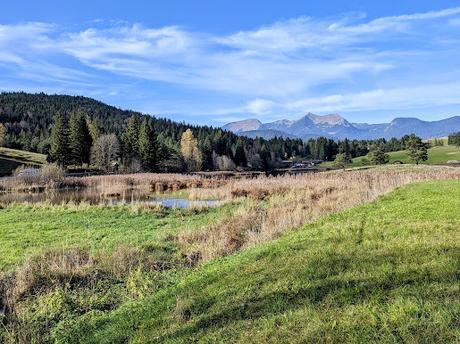 Buckelwiesen Mittenwald 30.10.2022 — 25 Bilder / Prairies bosselées à Mittenwald — 25 photos