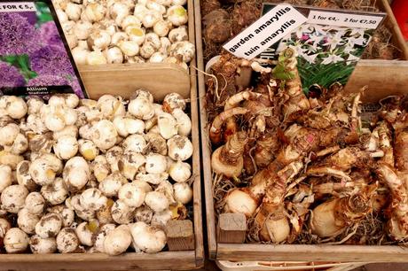 Retour à Amsterdam (week-end de trois jours) Retour à Amsterdam (week-end de trois jours)