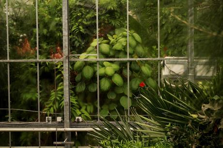 Retour à Amsterdam (week-end de trois jours) Retour à Amsterdam (week-end de trois jours)