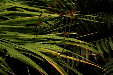 Retour à Amsterdam (week-end de trois jours) Retour à Amsterdam (week-end de trois jours)