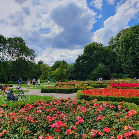 Retour à Amsterdam (week-end de trois jours) Retour à Amsterdam (week-end de trois jours)