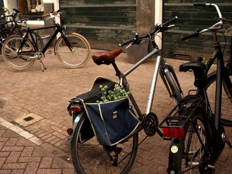 Retour à Amsterdam (week-end de trois jours) Retour à Amsterdam (week-end de trois jours)