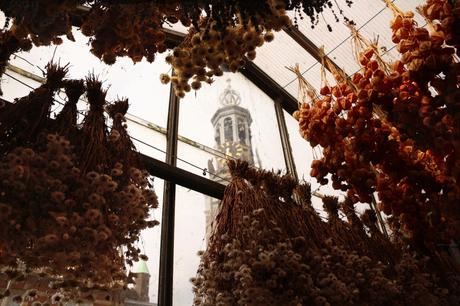 Retour à Amsterdam (week-end de trois jours) Retour à Amsterdam (week-end de trois jours)