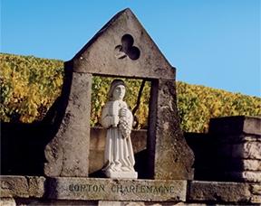 Quelques vins du domaine Rapet à Pernand-Vergelesses (21)