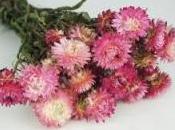 Aujourd'hui, Toussaint.