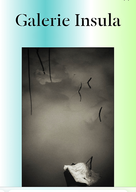 Festival Photo SaintGermain – galerie Insula – exposition  Fabrice Domenet  » A la lisière  »  3 Novembre 2022.