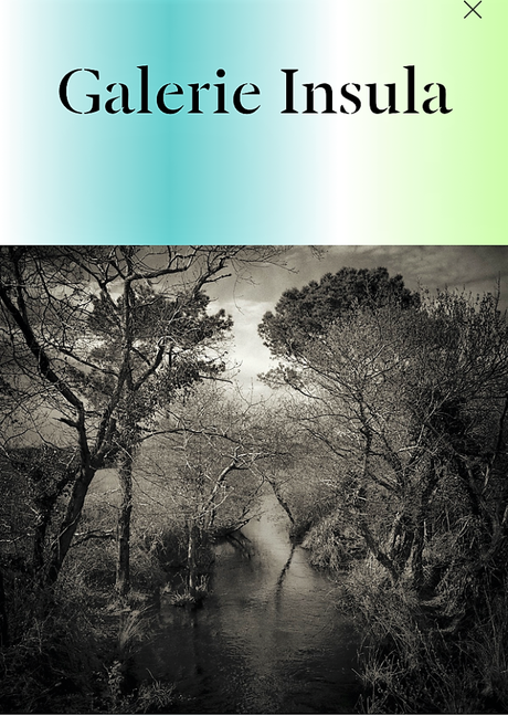 Festival Photo SaintGermain – galerie Insula – exposition  Fabrice Domenet  » A la lisière  »  3 Novembre 2022.