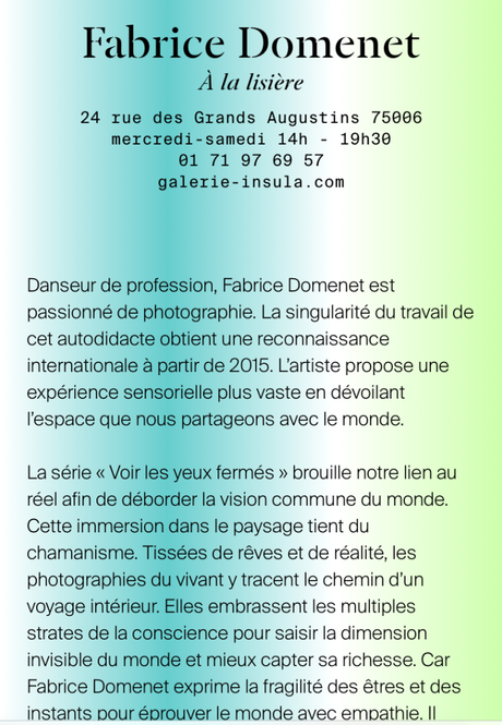 Festival Photo SaintGermain – galerie Insula – exposition  Fabrice Domenet  » A la lisière  »  3 Novembre 2022.