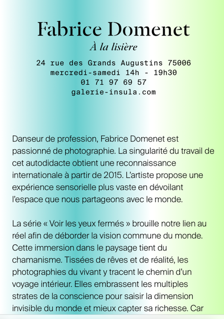 Festival Photo SaintGermain – galerie Insula – exposition  Fabrice Domenet  » A la lisière  »  3 Novembre 2022.