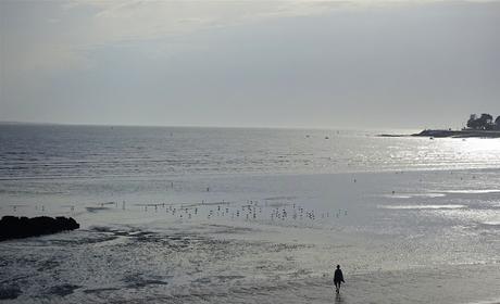 sur le jardin, sur le rivage sur le jardin, sur le rivage