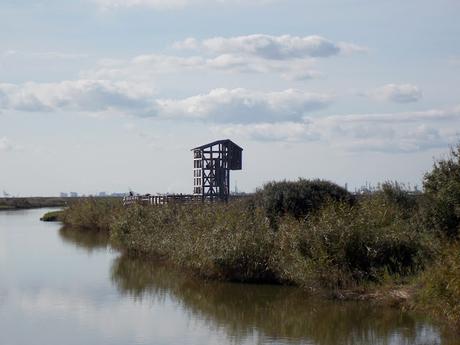 sur le jardin, sur le rivage