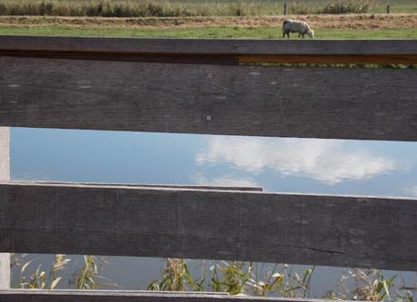 sur le jardin, sur le rivage sur le jardin, sur le rivage