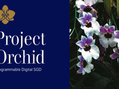 expérimente l'argent programmable