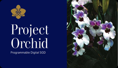 Project Orchid Singapore