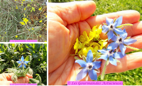 Ravioles de radis d'hiver en chaud-froid (Vegan) Ravioles de radis d'hiver en chaud-froid (Vegan)