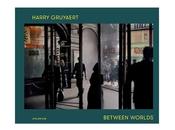 Harry gruyaert between worlds