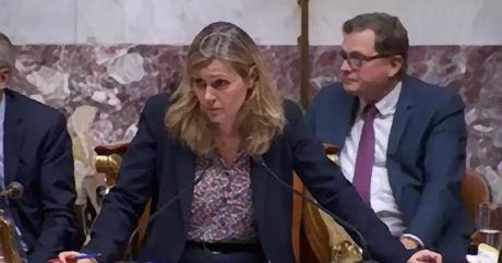 Carlos Martens Bilongo, député FI, victime d'une interpellation raciste