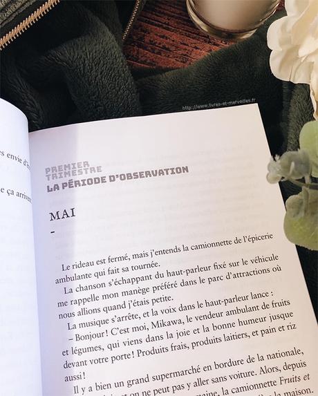 Roman jeunesse : Le château solitaire dans le miroir Roman jeunesse : Le château solitaire dans le miroir