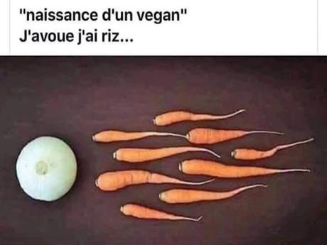 Blagues - sourire du jour