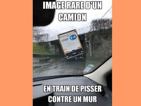 Blagues - sourire du jour